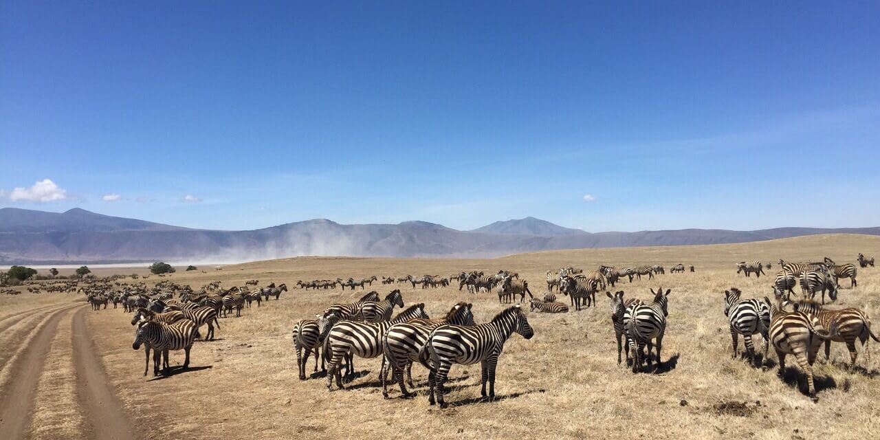 Tansania – ein Traum von Afrika