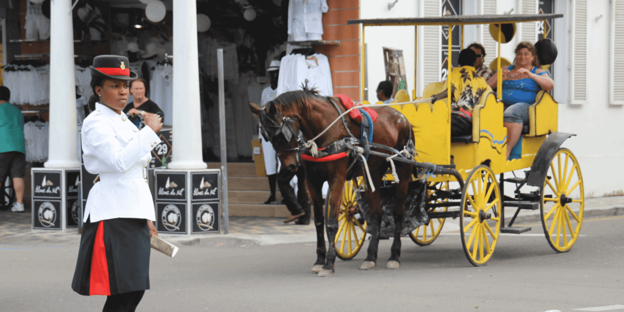 Nassau – Conch Fritters, Party & Shopping