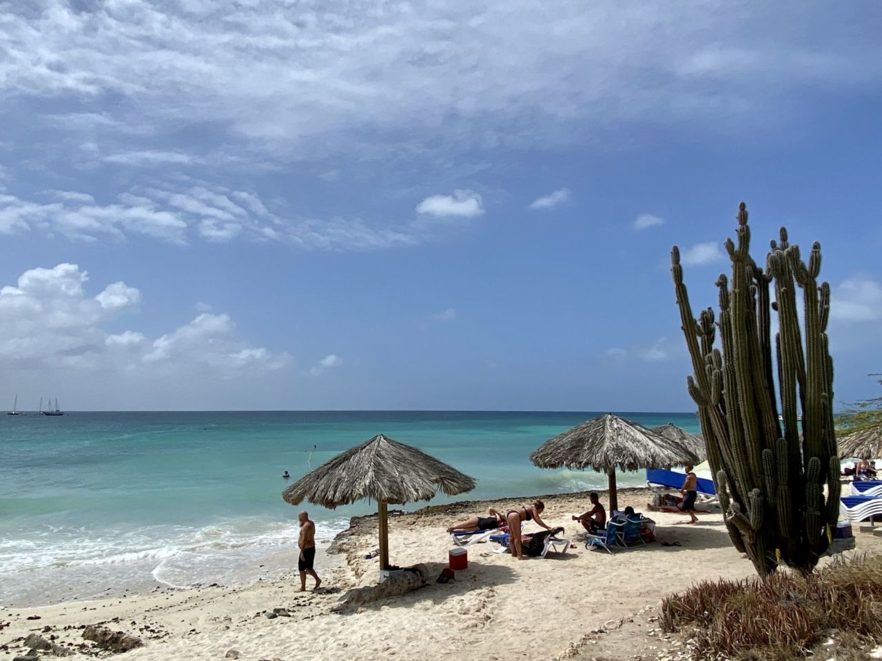 Blauer Himmel mit azurfarbenen Meer, Sand, Kaktus, Menschen und Sonnenschirmen aus Stroh