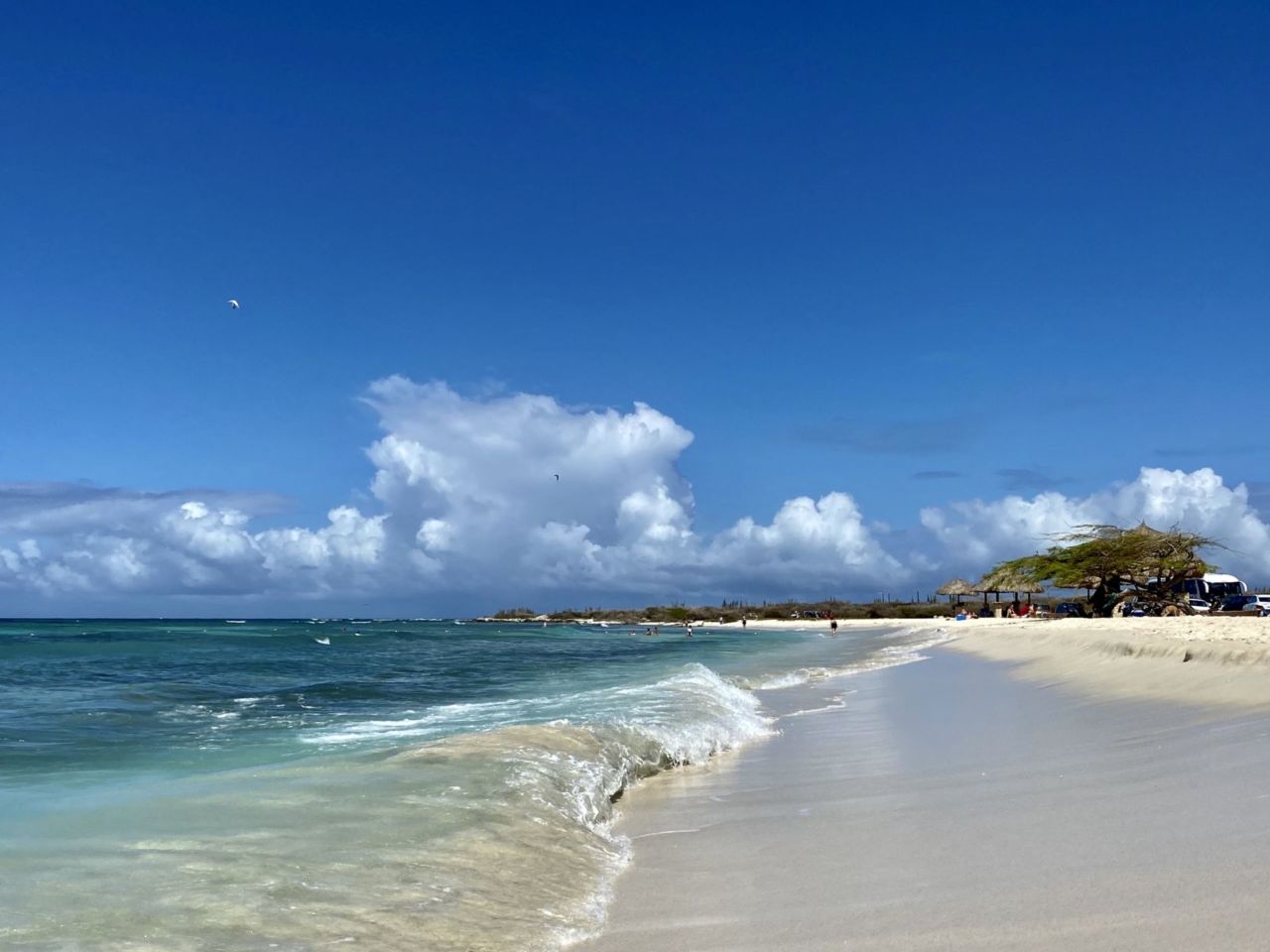 A sandy beach next to a body of water