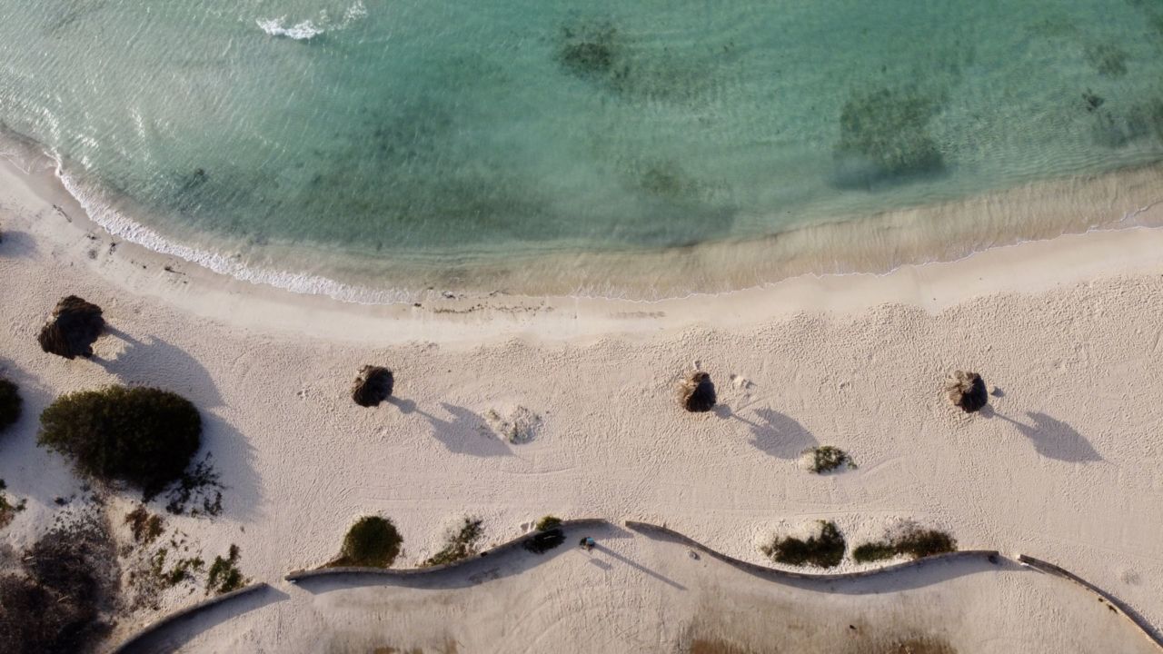 Baby Beach - Aruba Strand und Meer und Sonnenschirme aus der Luft