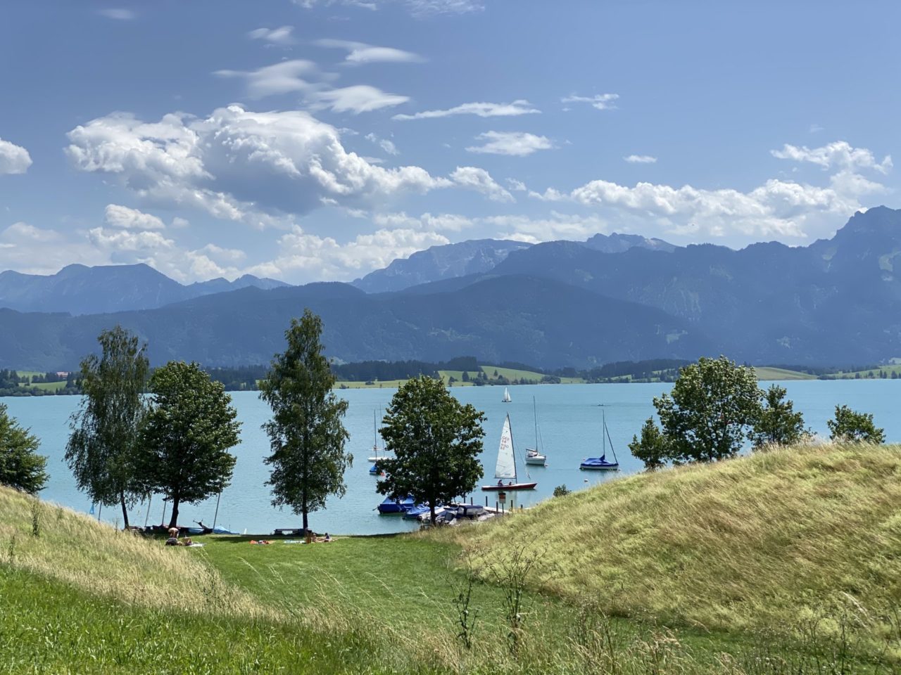 Blick auf den Forggensee Ein See mit Bäumen und Bergen im Hintergrund