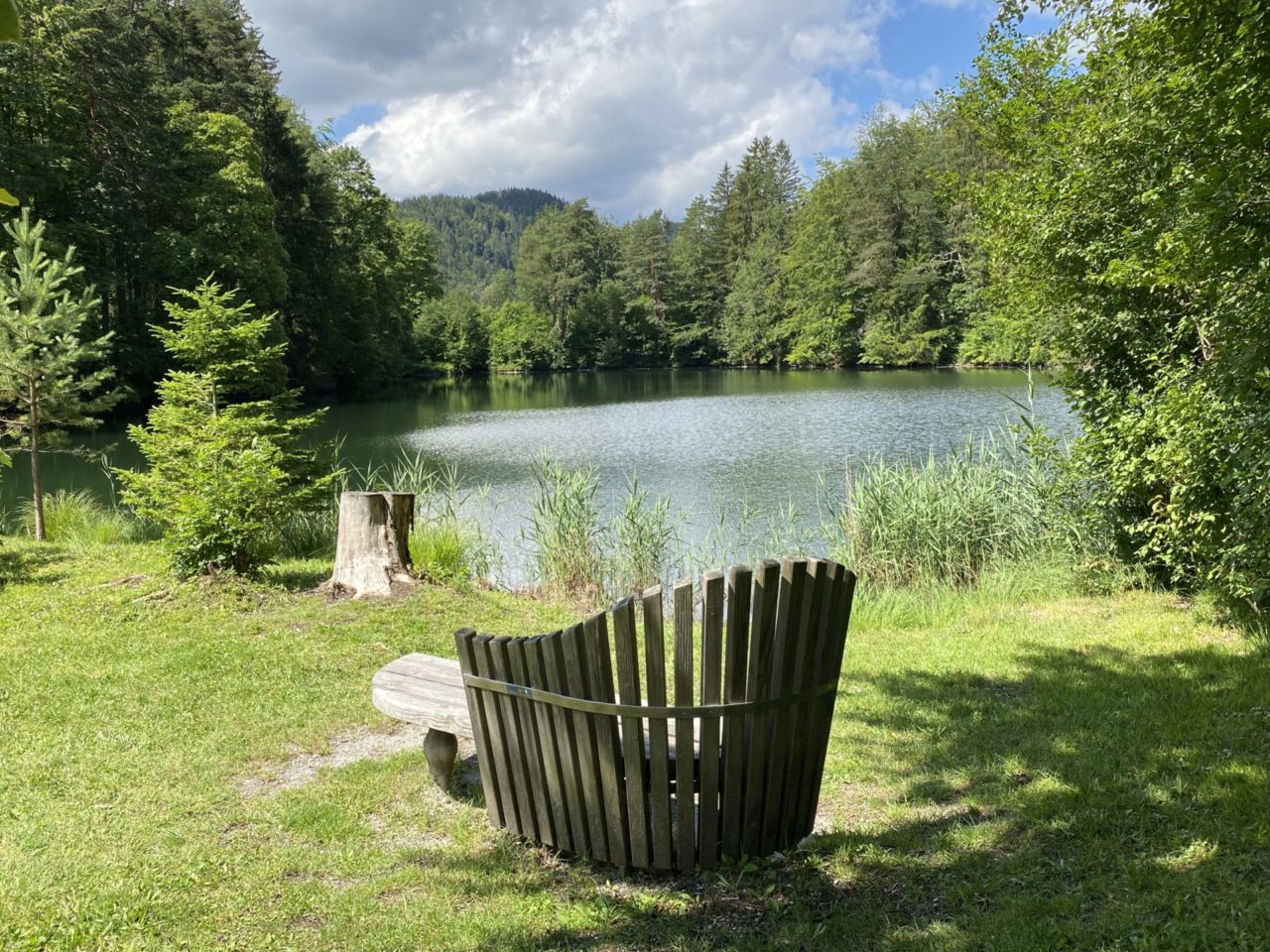 Mittersee bei Füssen Eine Bank vor einem See im Wald